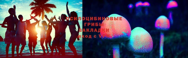 индика Алексеевка