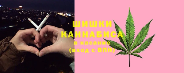 PSILOCYBIN Алзамай