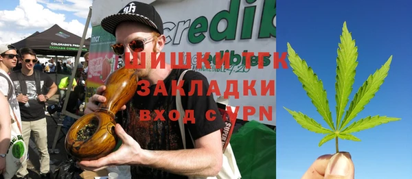 PSILOCYBIN Алзамай