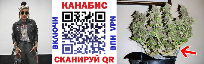 ОМГ ОМГ вход  Куса  Бошки Шишки SATIVA & INDICA 